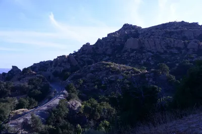 DSC_2108 (Large).JPG